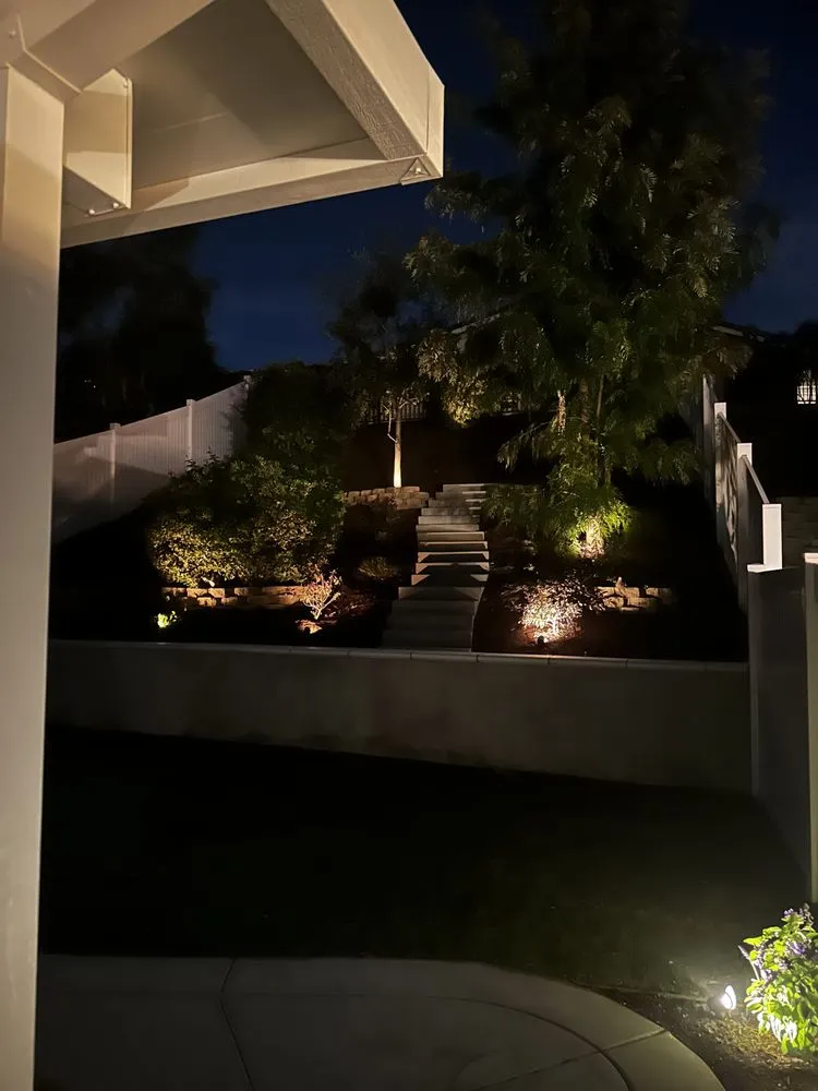 Local yard maintenance in Fullerton, CA - CRI Landscapes