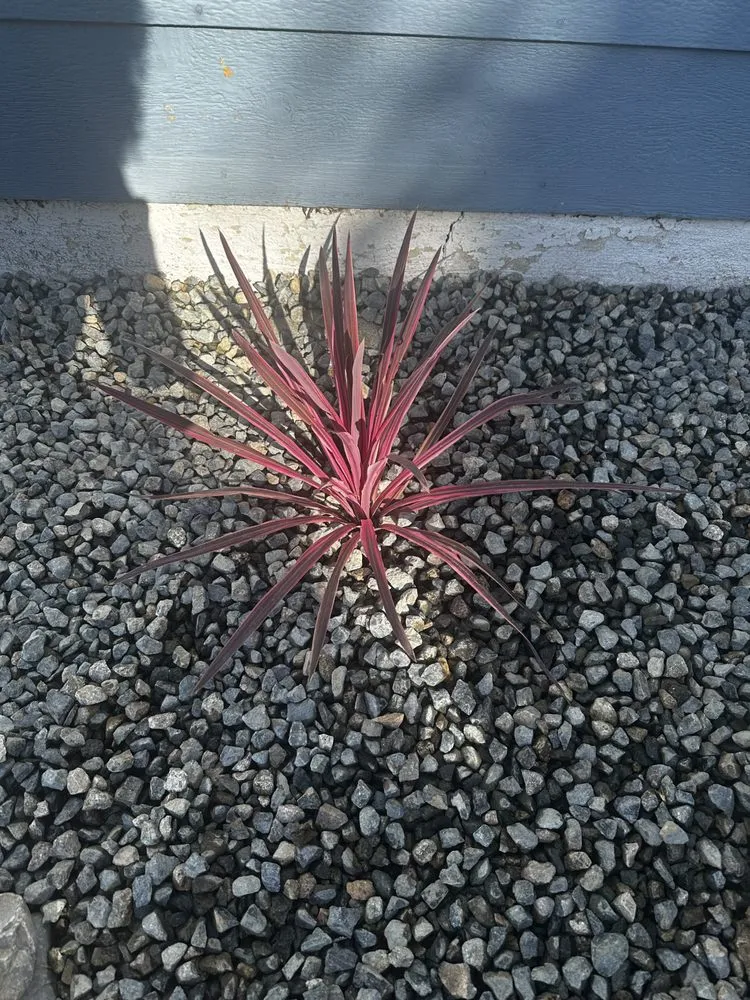 Affordable outdoor landscaping experts serving Fullerton, CA - CRI Landscapes