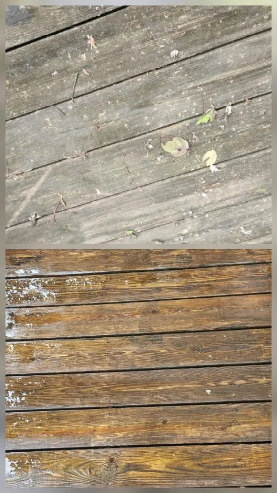 Local landscape design experts serving New Albany, IN - Cribs And Chrome Cleaning