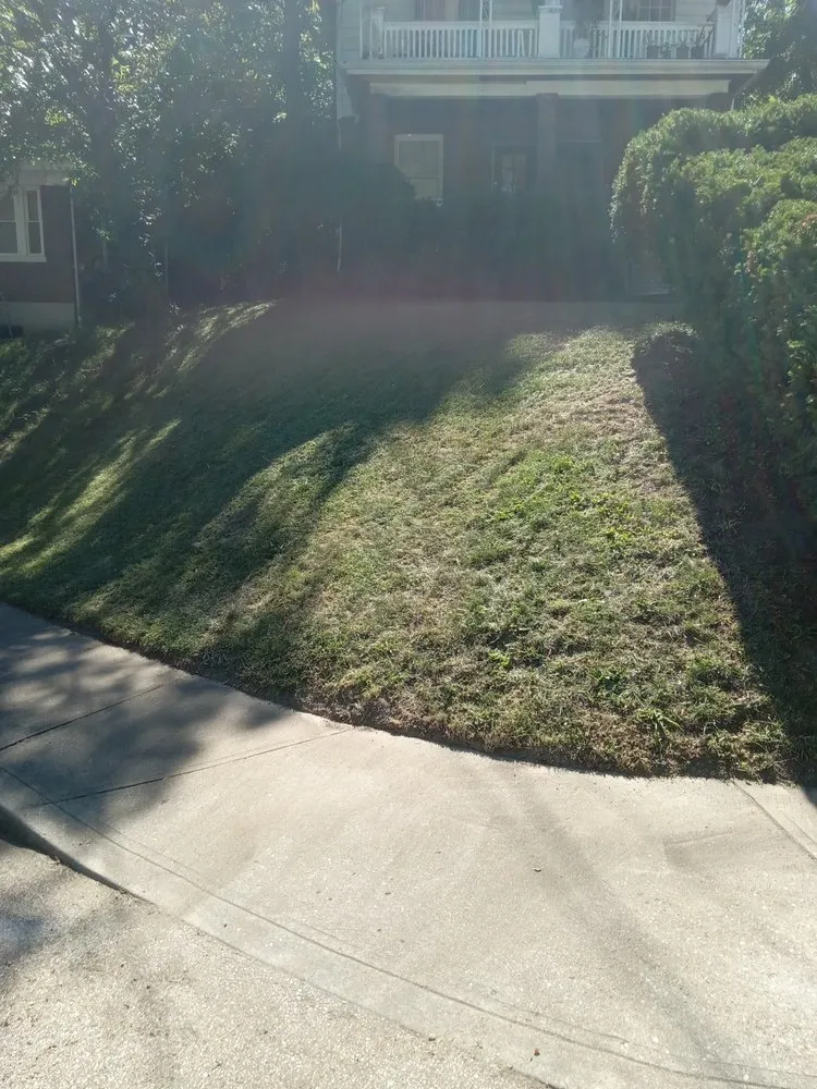 Custom residential landscaping experts serving Cincinnati, OH - Cricket lawn and landscaping