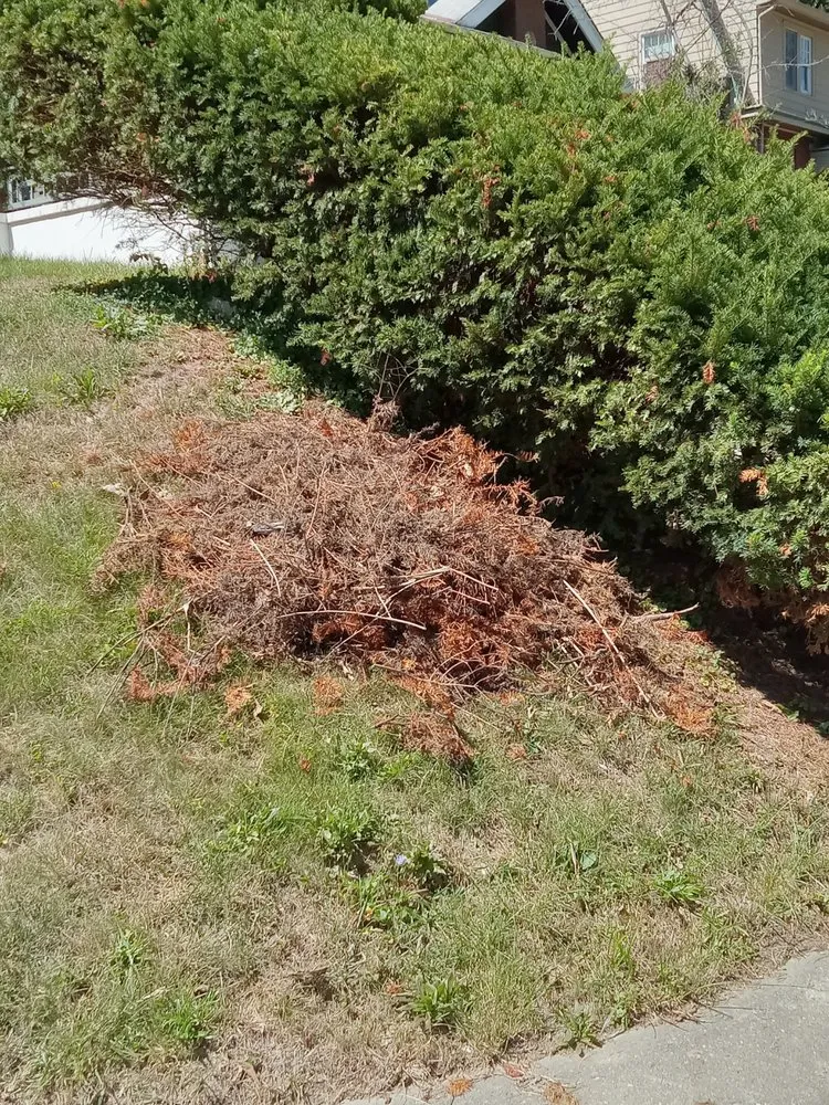 Custom yard maintenance in Cincinnati, OH by Cricket lawn and landscaping