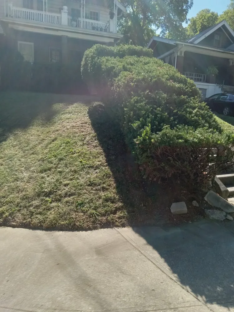 Affordable residential landscaping in Cincinnati, OH - Cricket lawn and landscaping