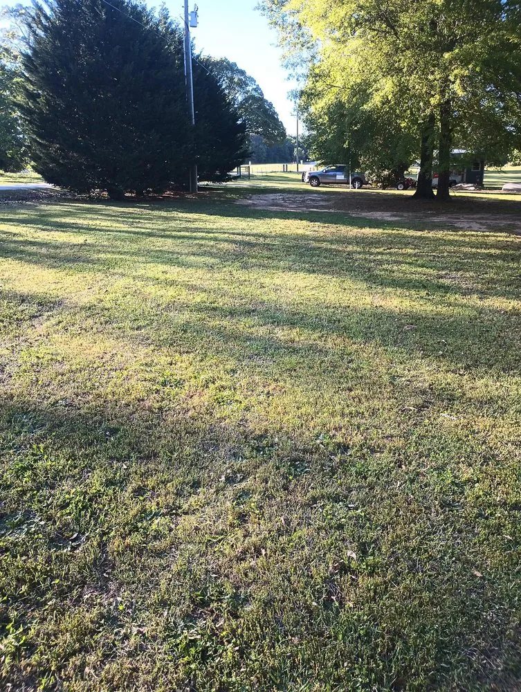Top-rated landscape design for year-round maintenance across Enoree, SC - Cricket Lawn Works