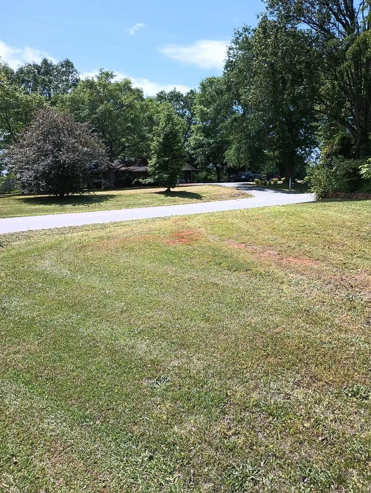 Affordable outdoor landscaping with custom design across Enoree, SC - Cricket Lawn Works