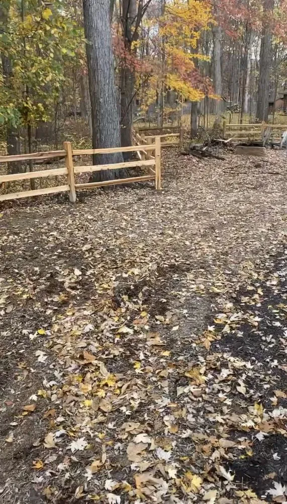 Top-rated lawn care service in Deland, FL by Crider & Sons