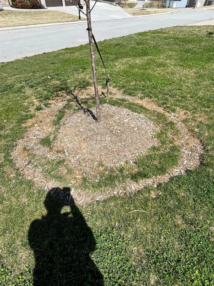Local landscaping services with custom design across Soddy-Daisy, TN - Crider Landscaping