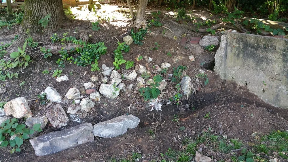 Affordable yard maintenance in Soddy-Daisy, TN by Crider Landscaping