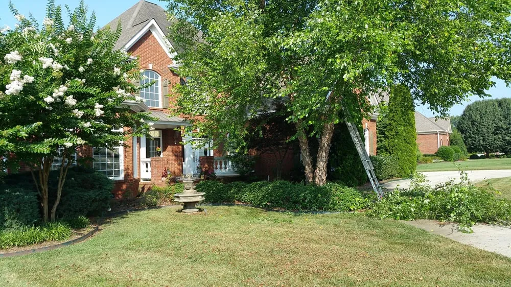 Top-rated landscape installation in Soddy-Daisy, TN by Crider Landscaping