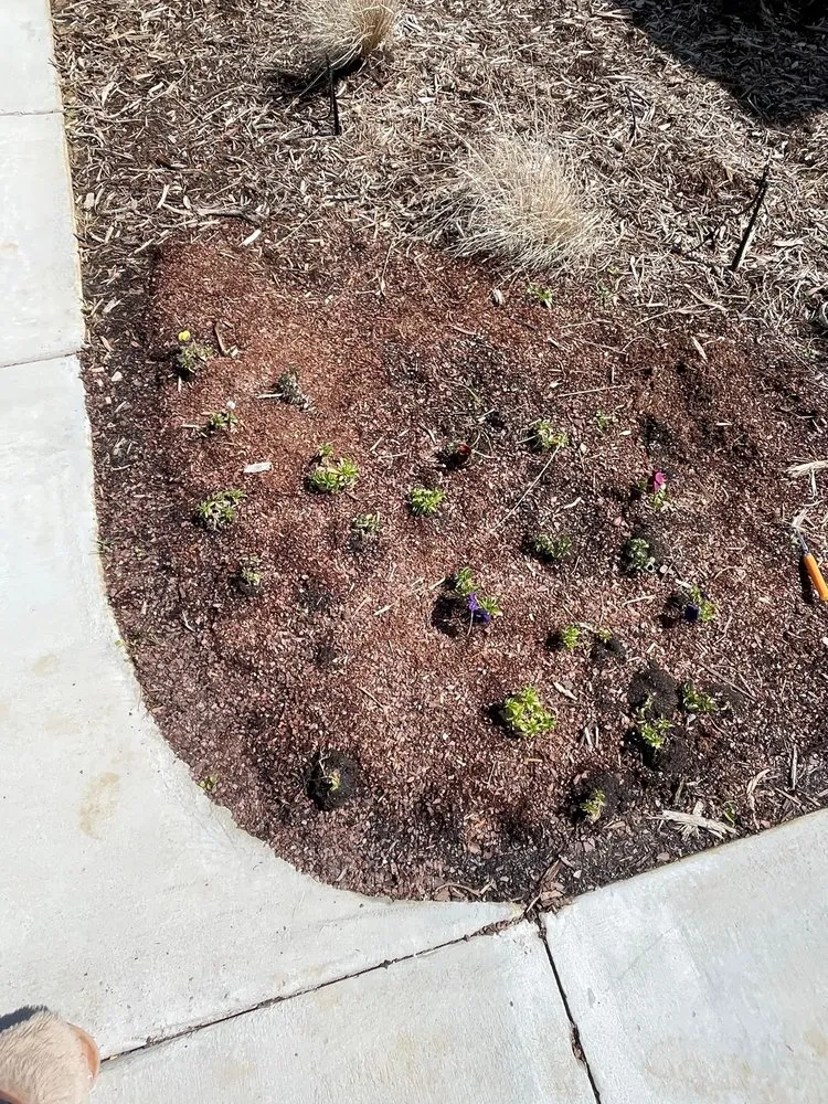 Local residential landscaping in Soddy-Daisy, TN - Crider Landscaping