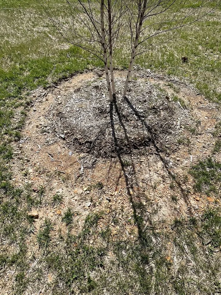 Trusted landscape design experts serving Soddy-Daisy, TN - Crider Landscaping
