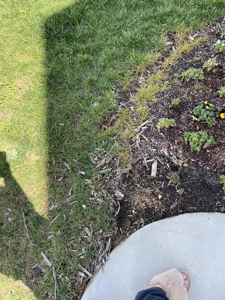 Trusted residential landscaping for year-round maintenance in Soddy-Daisy, TN by Crider Landscaping