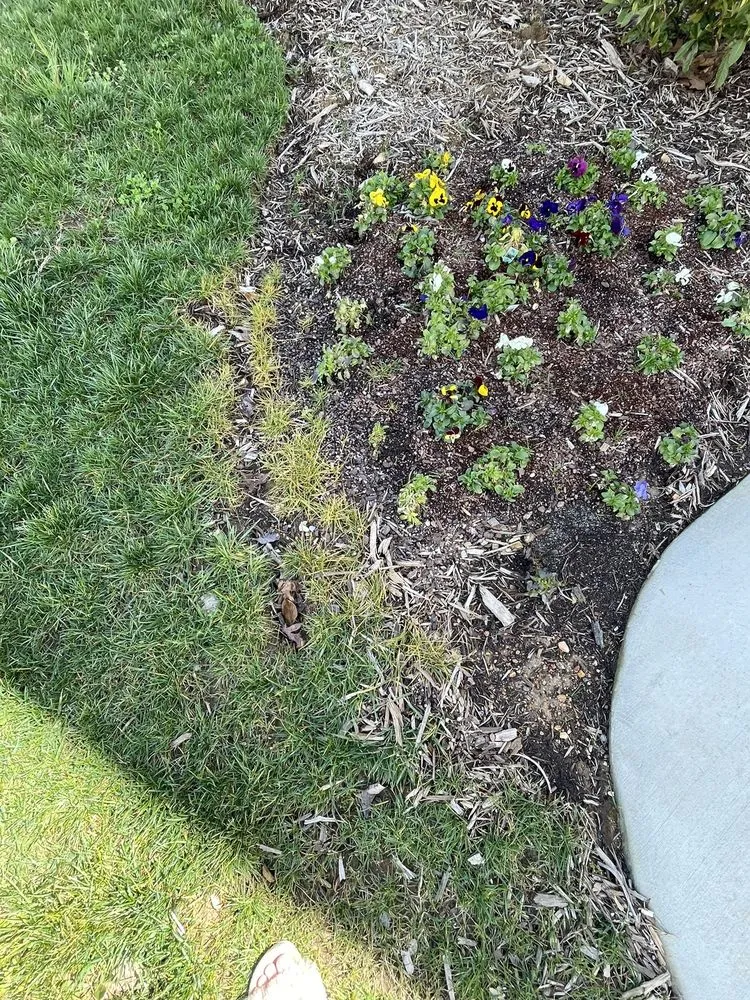 Local garden landscaping for residential properties across Soddy-Daisy, TN - Crider Landscaping