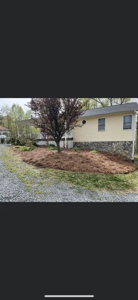 Trusted landscape design for beautiful yards in Trinity, NC by Crigger Contracting and Lawn Care