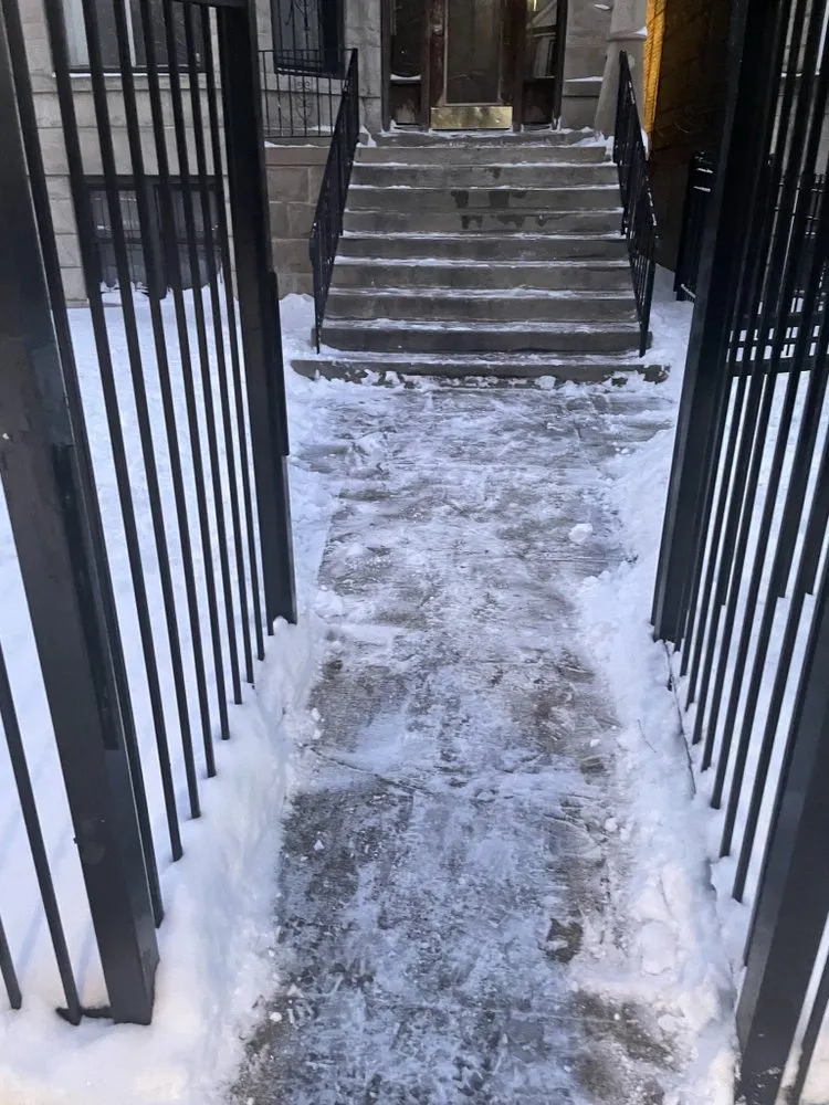 Custom outdoor landscaping for residential properties in Maywood, IL by Crily's Earth Services