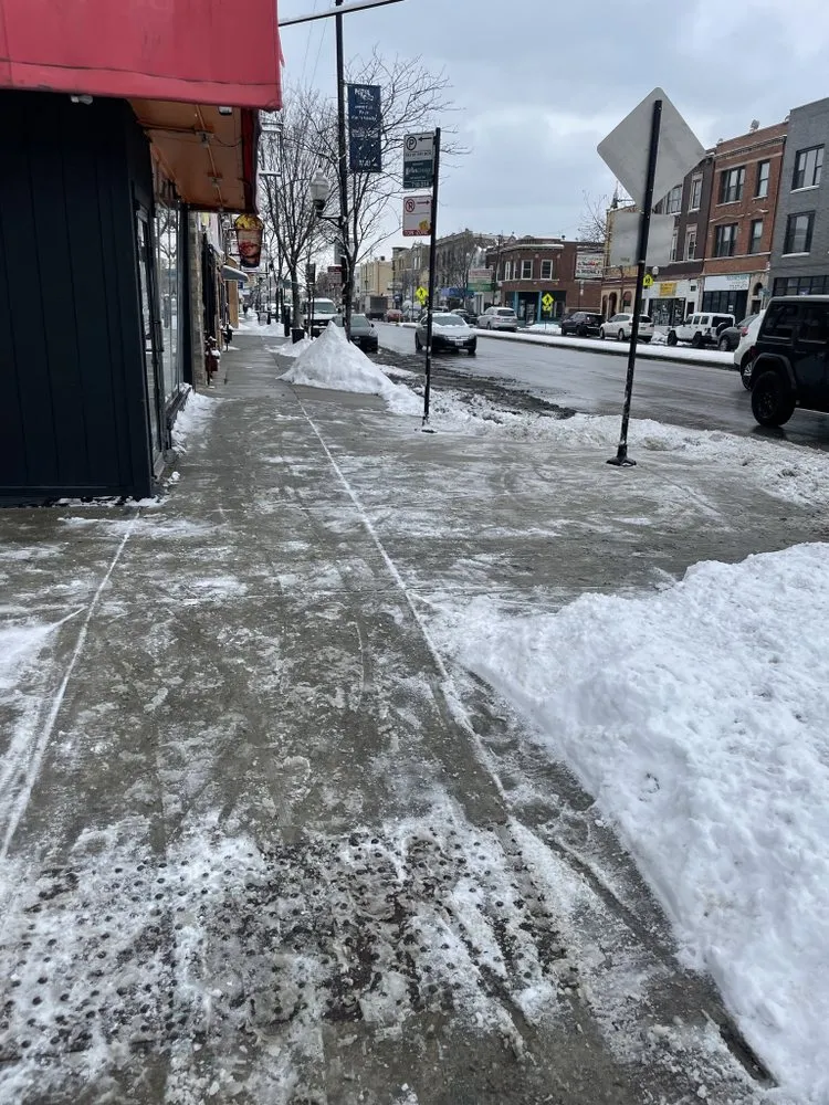 Affordable garden landscaping for homes in Maywood, IL by Crily's Earth Services