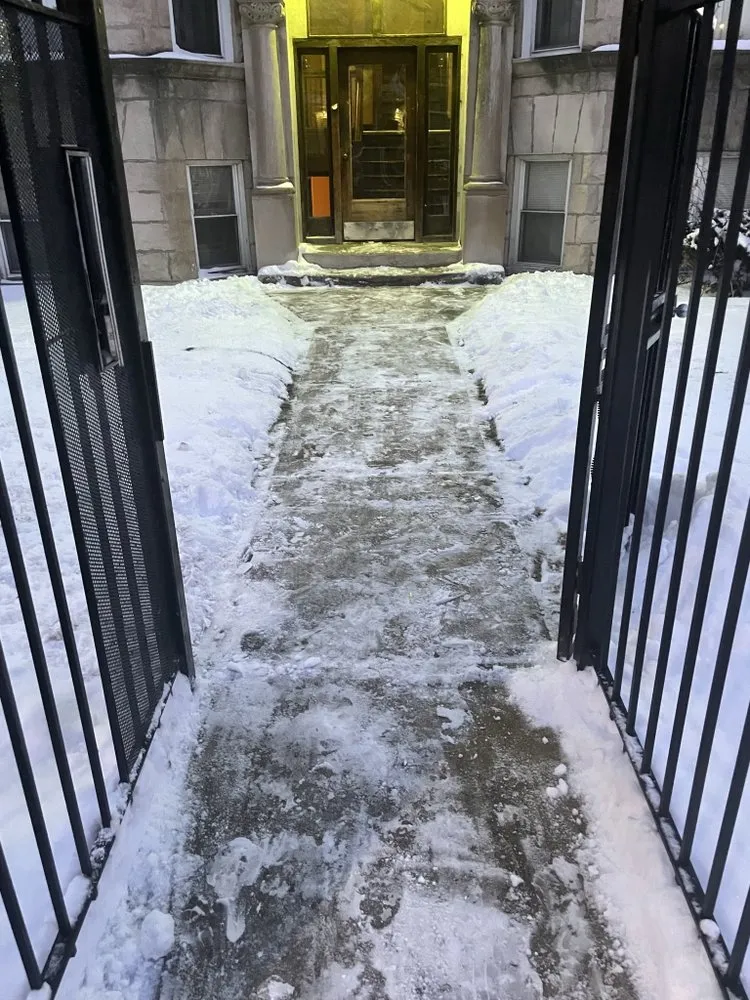 Affordable yard cleanup service experts serving Maywood, IL - Crily's Earth Services