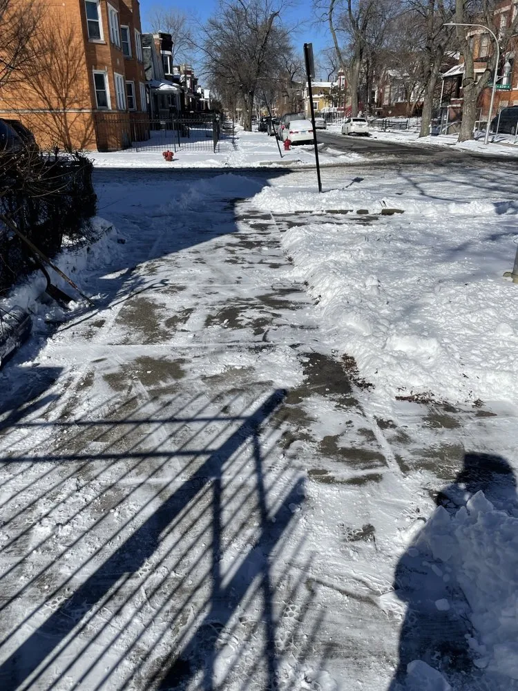 Affordable yard maintenance in Maywood, IL by Crily's Earth Services