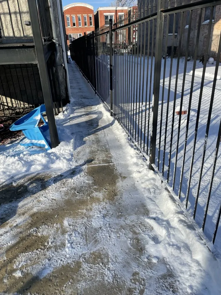 Trusted landscaping services experts serving Maywood, IL - Crily's Earth Services