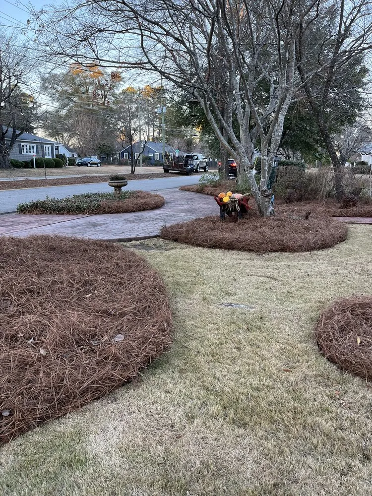 Affordable landscaping services near you across Fayetteville, NC - Crimson Lawn & Landscape