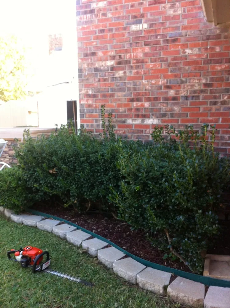 Trusted landscaping services experts serving Azle, TX - Crimson Lawn Care & Landscaping