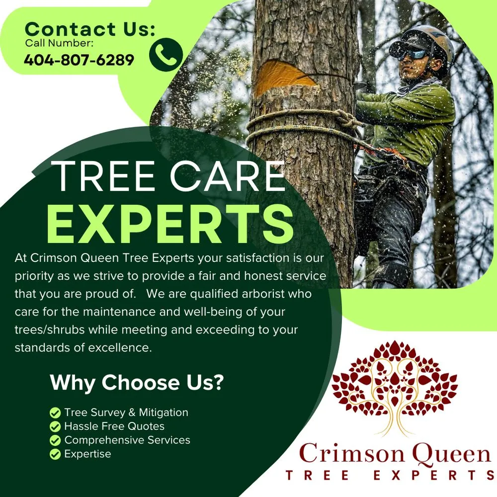 Top-rated residential landscaping in Brooks, GA by Crimson Queen Tree Experts