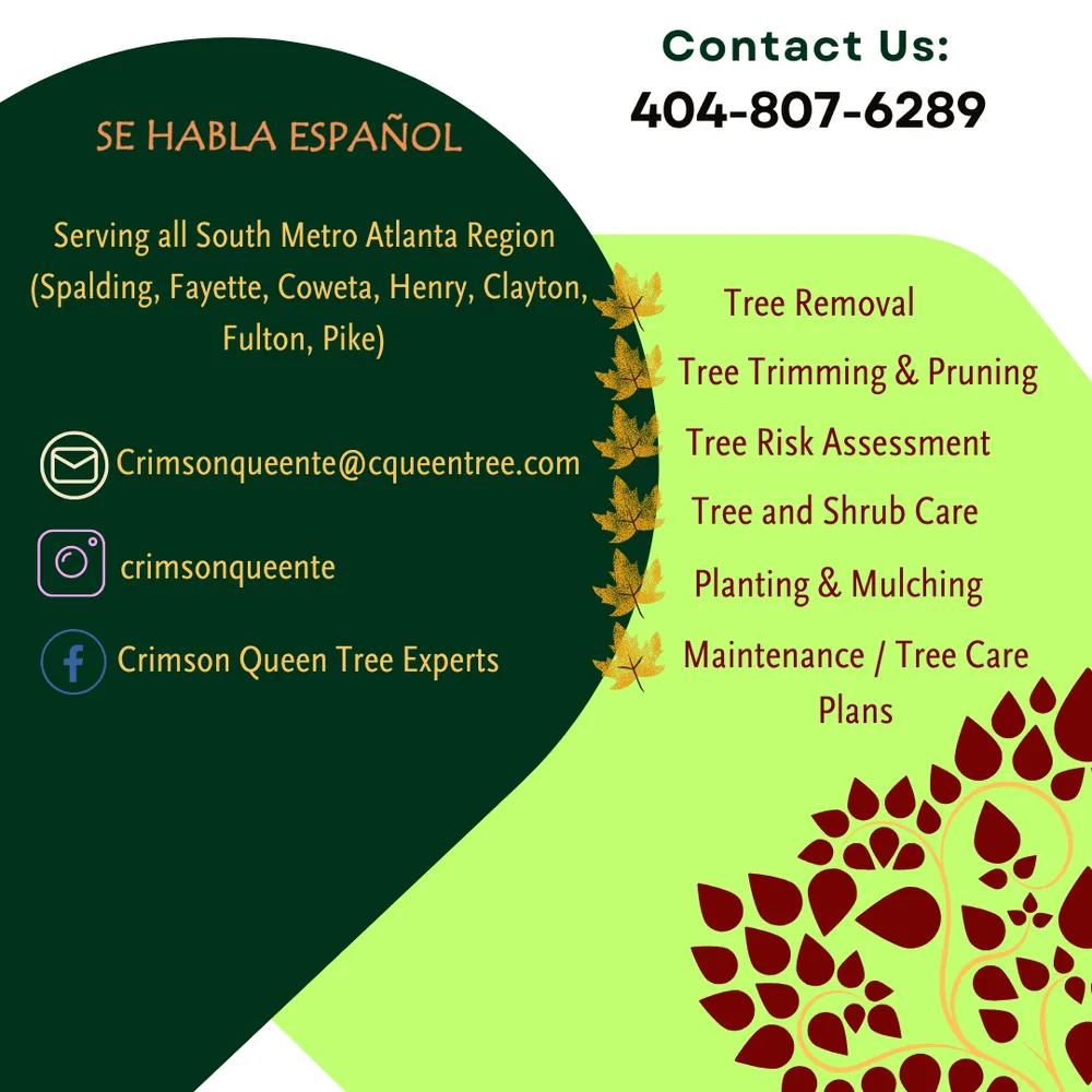 Professional landscape installation with custom design across Brooks, GA - Crimson Queen Tree Experts