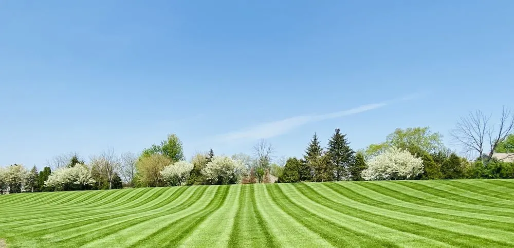 Affordable lawn mowing service in Rockford, IL by Crimson Valley Landscaping