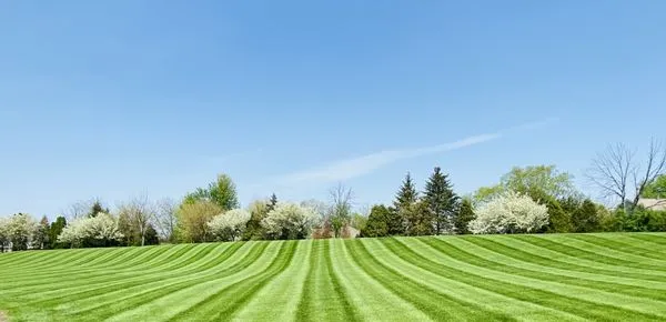 Crimson Valley Landscaping