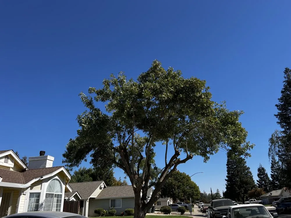 Trusted landscape installation near you in Atwater, CA by Cris A Lawn Service