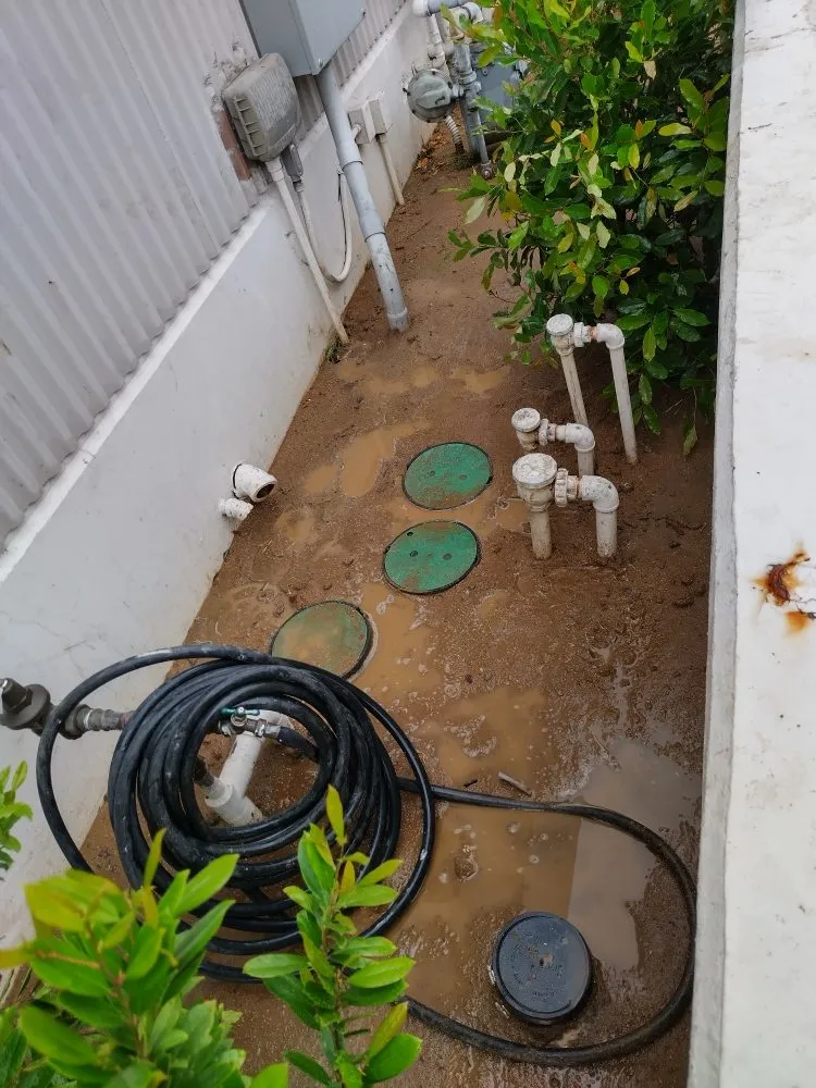 Reliable landscaping services near you in Dale, TX by Cris Arroyo