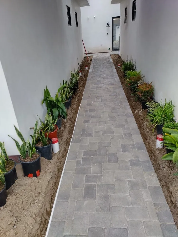 Custom garden landscaping experts serving Dale, TX - Cris Arroyo