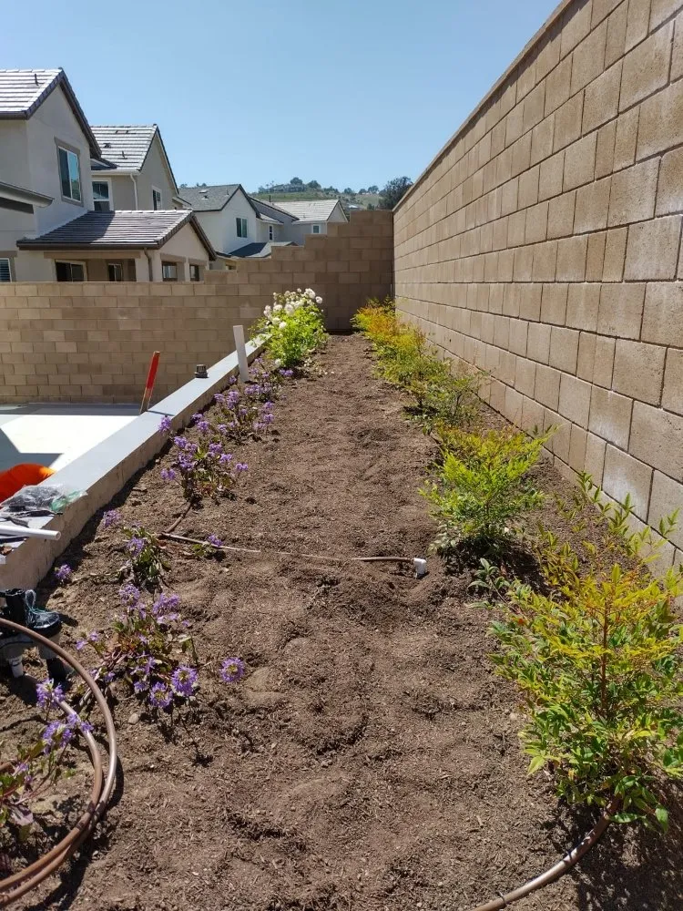 Trusted lawn care service for homes in Dale, TX by Cris Arroyo