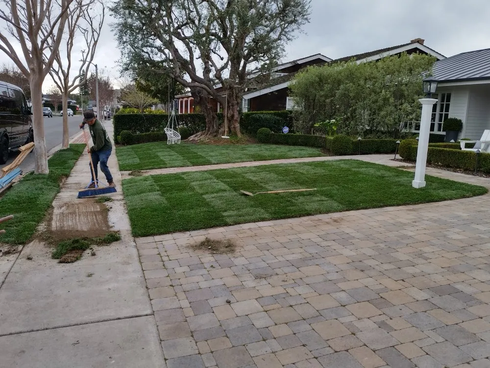 Reliable landscape installation for residential properties in Dale, TX by Cris Arroyo
