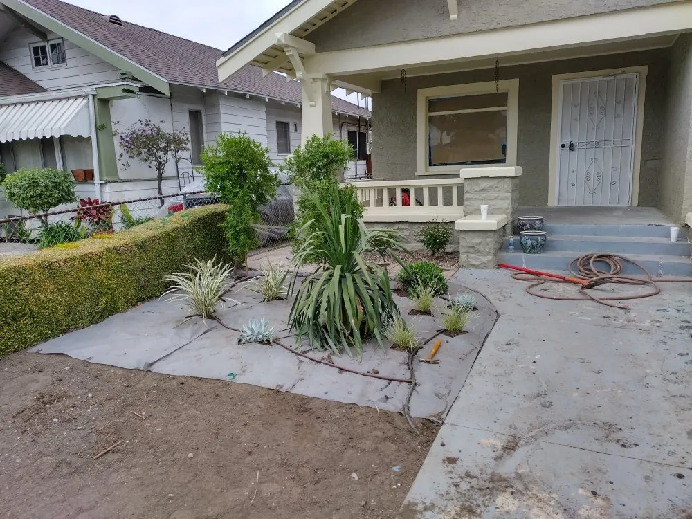 Professional landscape installation for year-round maintenance across Dale, TX - Cris Arroyo