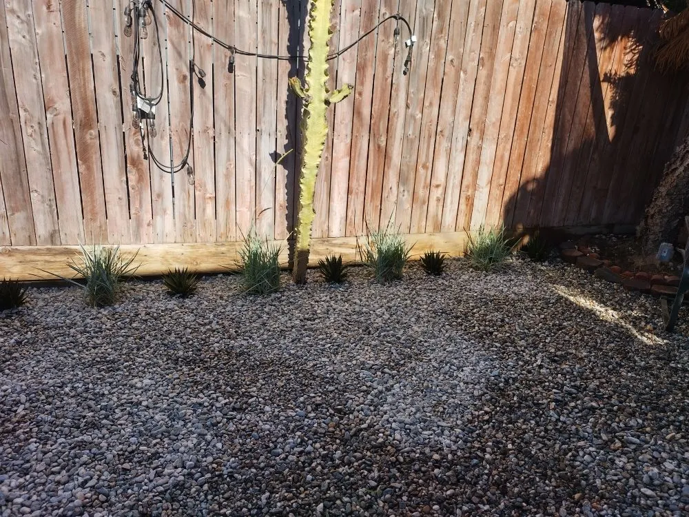 Affordable residential landscaping experts serving Dale, TX - Cris Arroyo