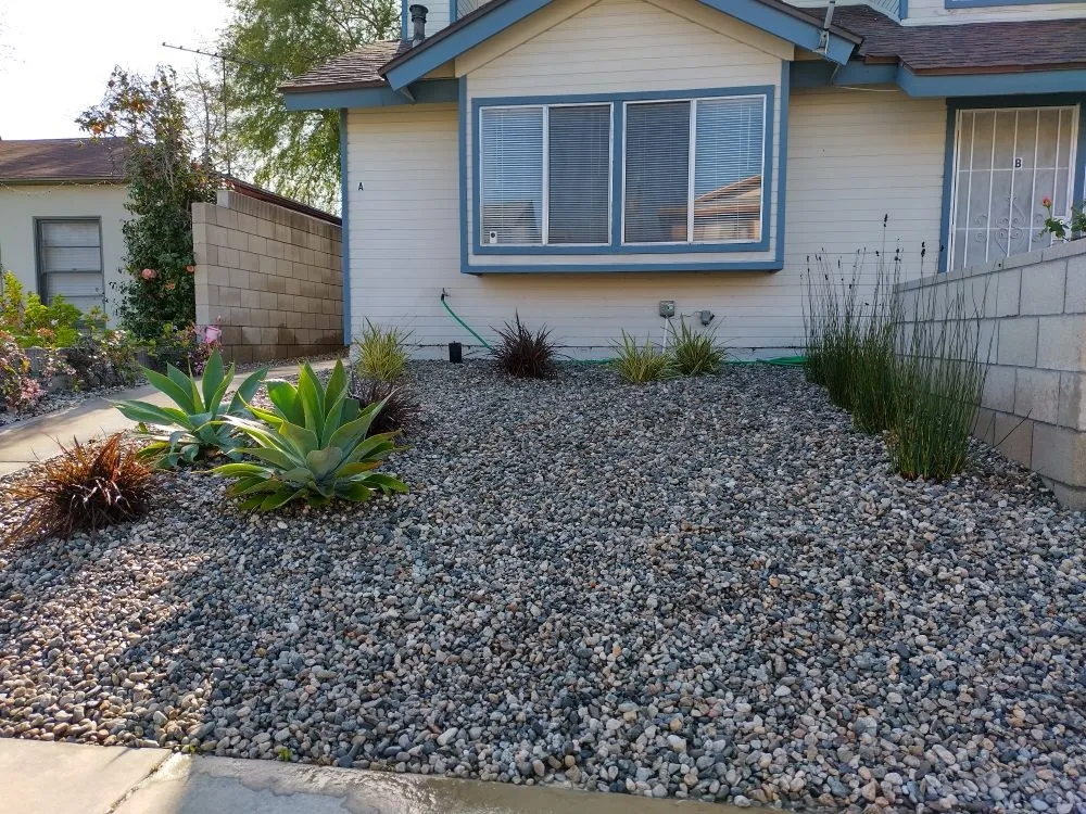 Trusted lawn care service for beautiful yards across Dale, TX - Cris Arroyo