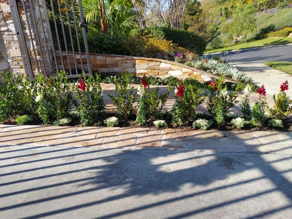 Professional lawn care service for year-round maintenance across Dale, TX - Cris Arroyo