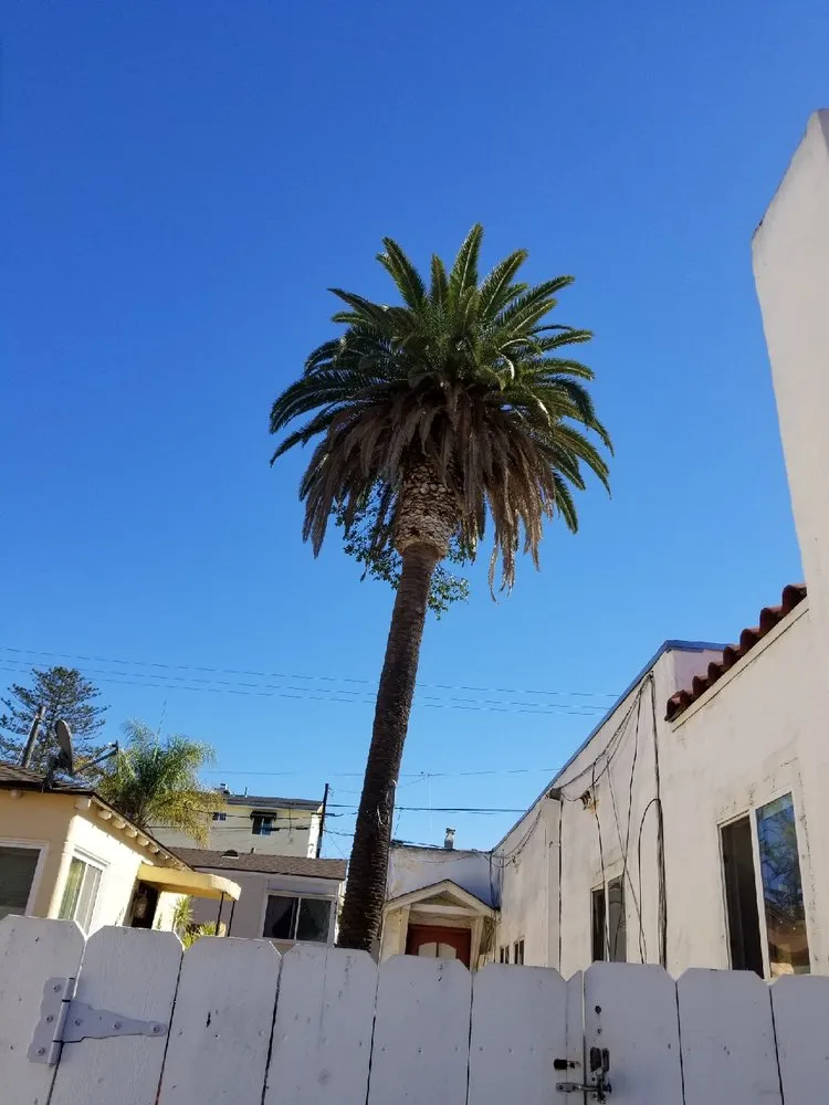 Professional landscaping services with custom design across Oceanside, CA - Cris Castro Landscape Maintenance