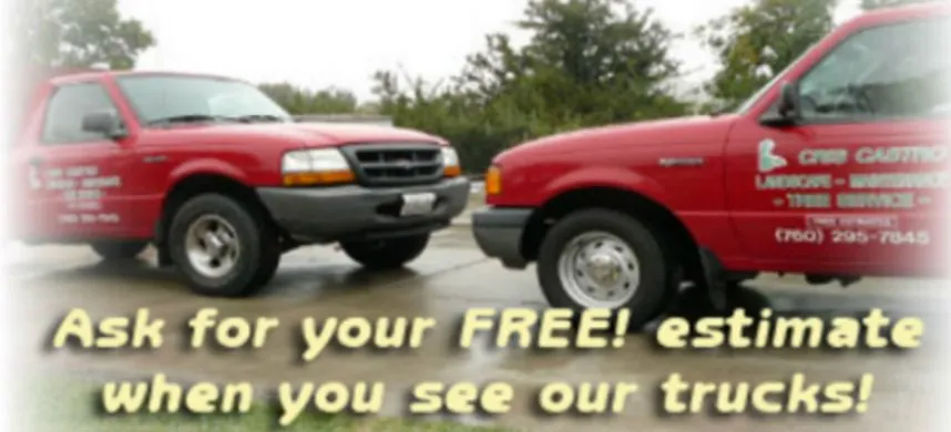 Expert yard maintenance with custom design across Oceanside, CA - Cris Castro Landscape Maintenance