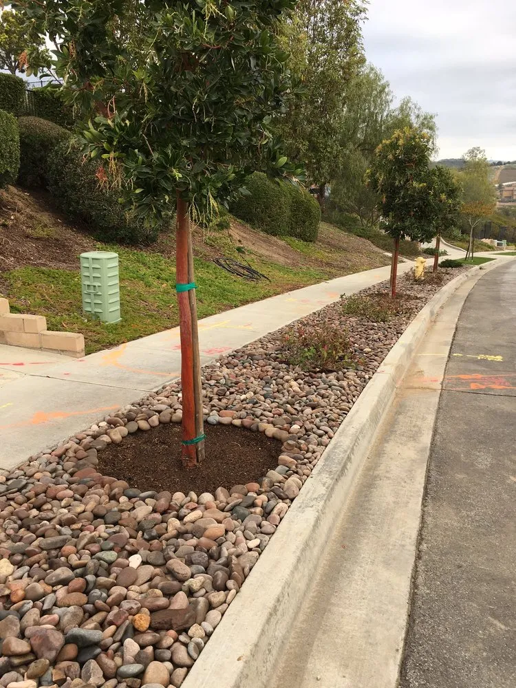 Custom lawn care service for homes in Oceanside, CA by Cris Castro Landscape Maintenance