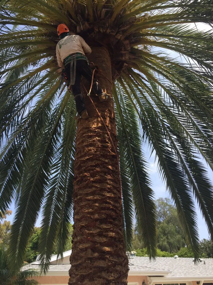 Custom landscape installation in Oceanside, CA by Cris Castro Landscape Maintenance