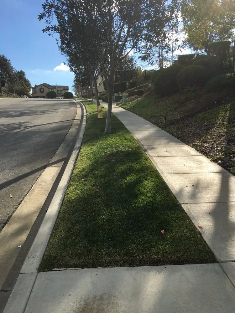 Trusted residential landscaping in Oceanside, CA by Cris Castro Landscape Maintenance