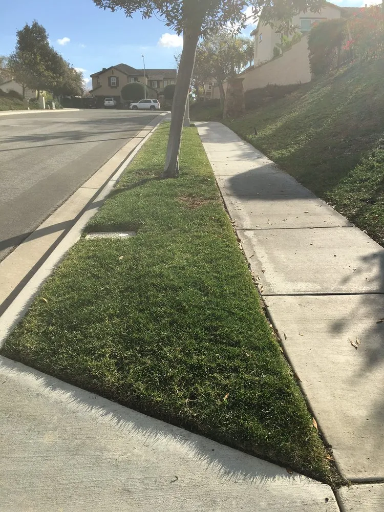 Expert landscaping services in Oceanside, CA by Cris Castro Landscape Maintenance