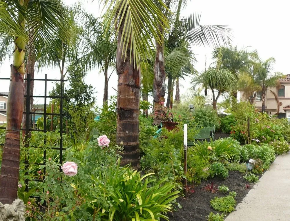 Affordable yard cleanup service for homes in Oceanside, CA by Cris Castro Landscape Maintenance