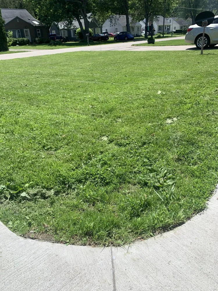 Custom landscape design near you across Lansing, MI - Cris Landscape