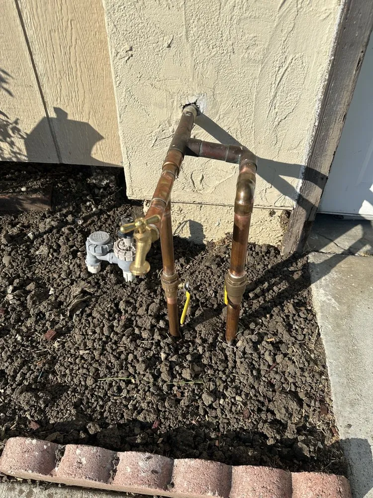 Local yard cleanup service in San Jose, CA - Cris Landscaping & Gardening