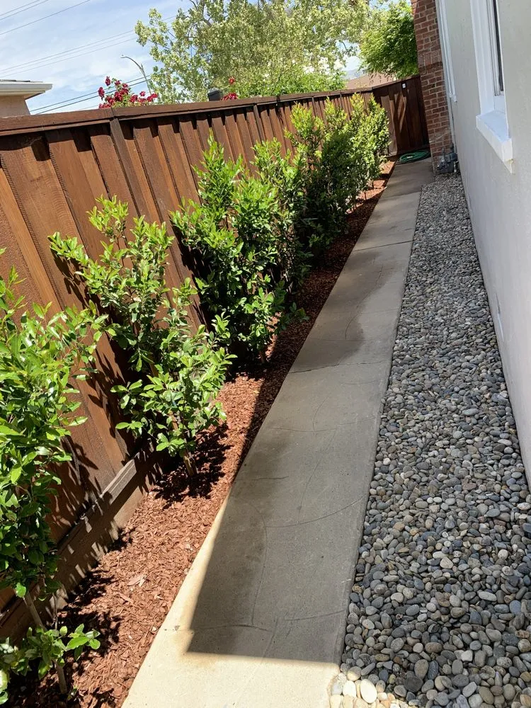 Professional landscape installation for residential properties across San Jose, CA - Cris Landscaping & Gardening