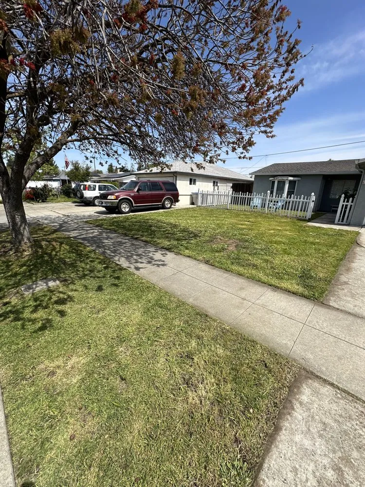 Expert landscaping services in San Jose, CA - Cris Landscaping & Gardening