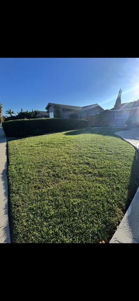 Affordable landscaping services for residential properties in San Jose, CA by Cris Landscaping & Gardening