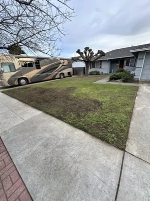 Cris Landscaping & Gardening Logo